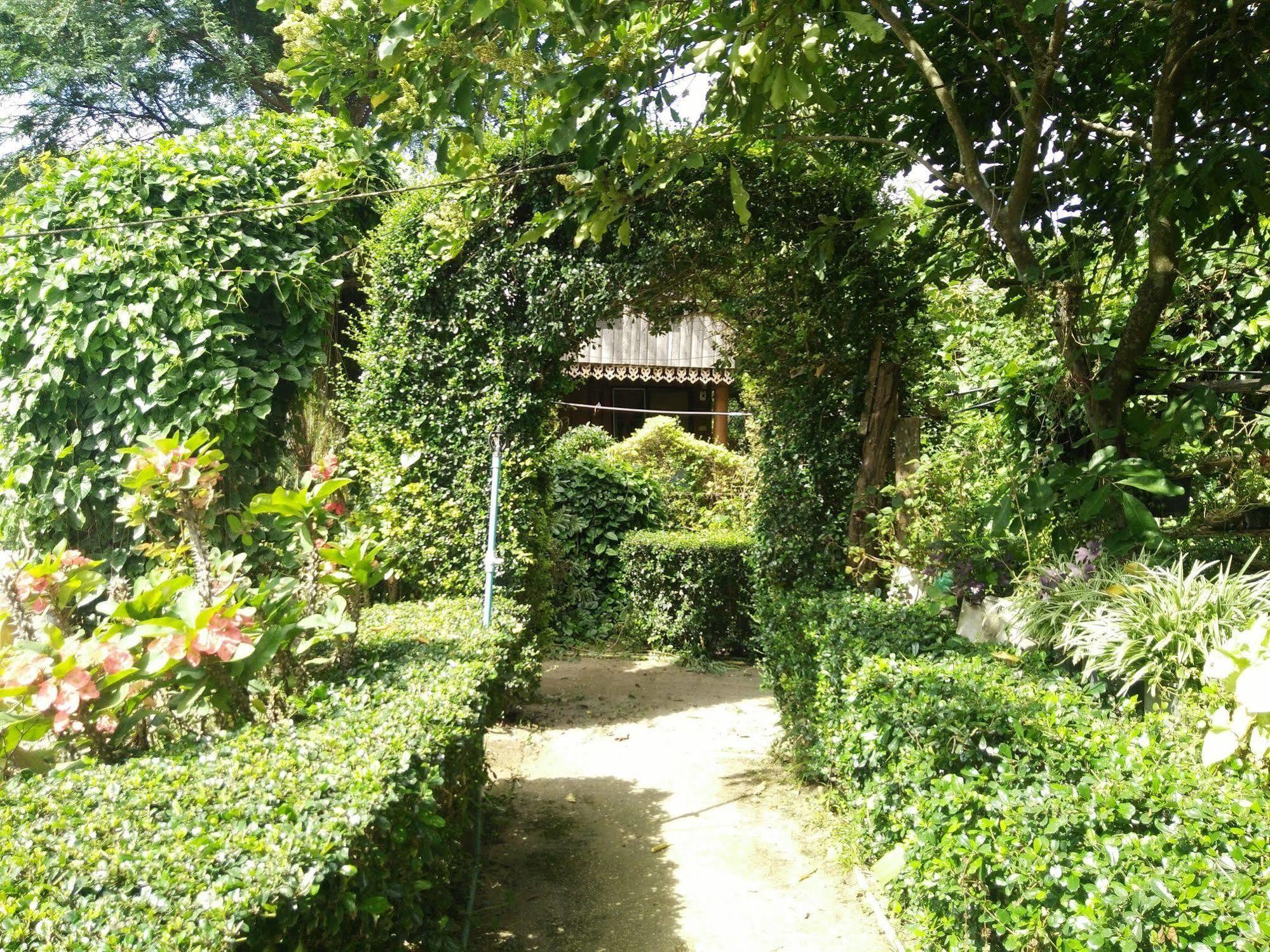 Mr Jan Guesthouse Paj Kültér fotó