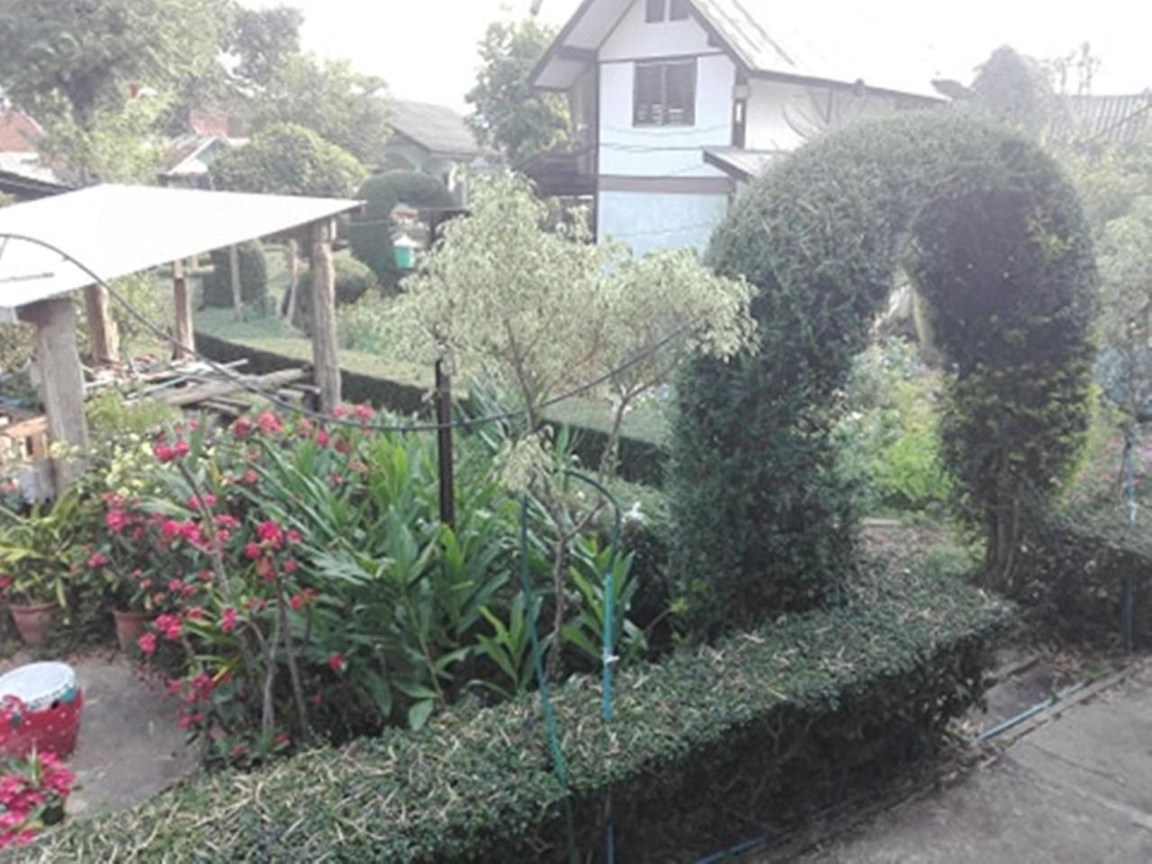 Mr Jan Guesthouse Paj Kültér fotó