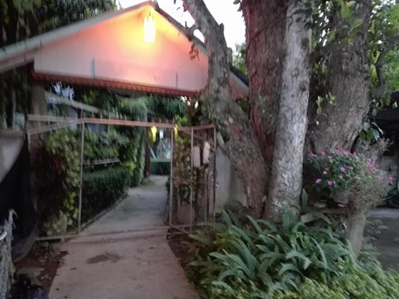 Mr Jan Guesthouse Paj Kültér fotó